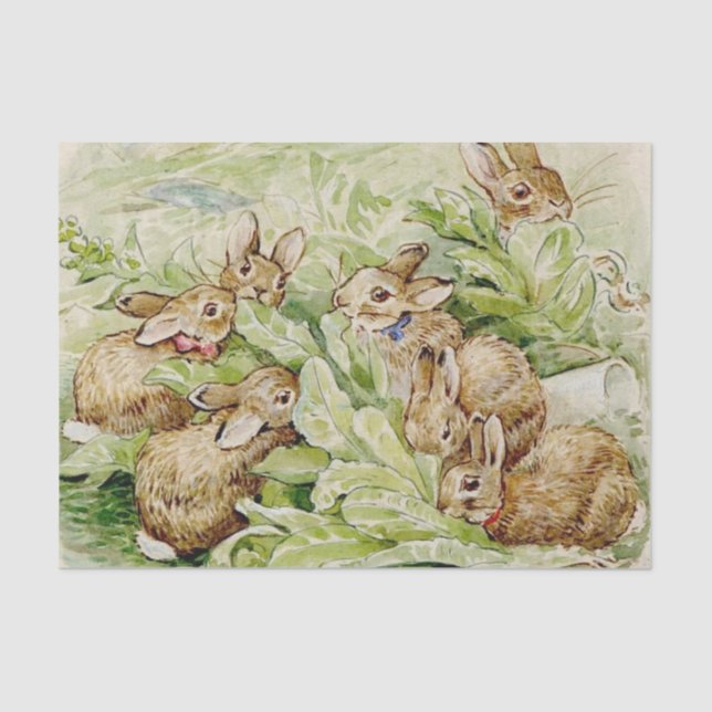 Beatrix Potter Geschichte der Flopsy Bunnies Seidenpapier (Vorderseite)