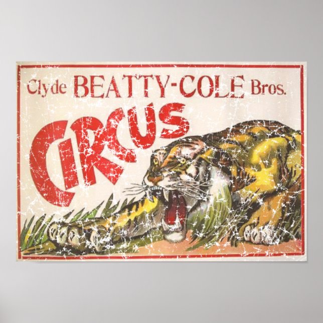 Beatty Cole Circus - 1903 - Not leidend Poster (Vorne)