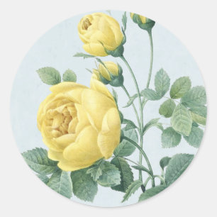 Beau autocollant jaune vintage rose