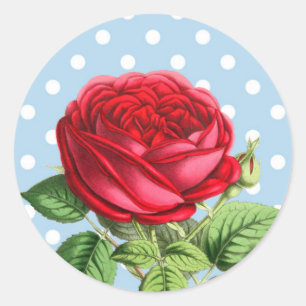 Beau autocollants de rose rouge