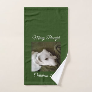 Beau blanc couché Chien Chien Chien Vert Serviette