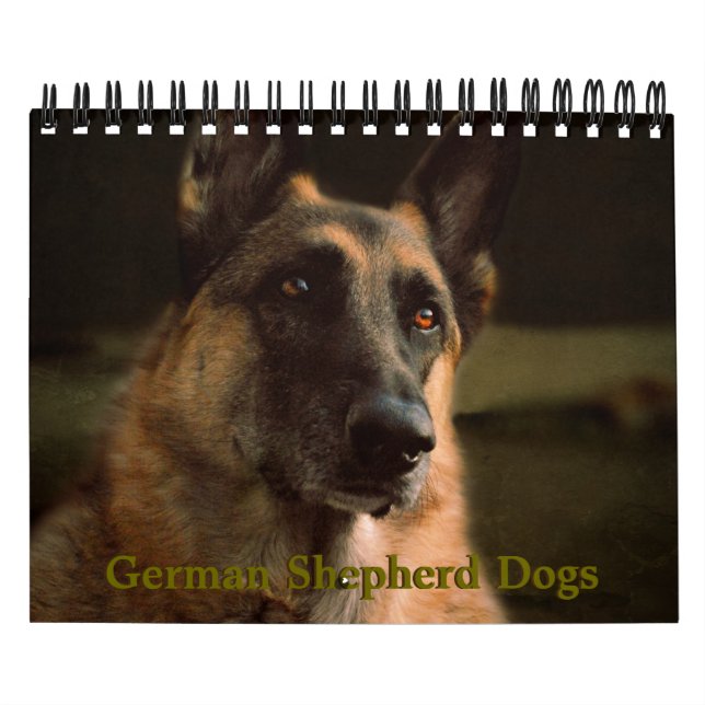 Beau calendrier de chien de berger allemand (Protection)