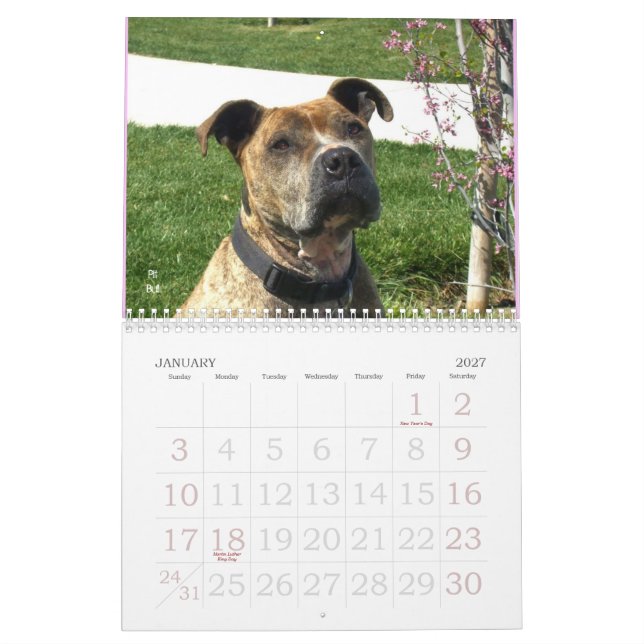 Beau calendrier de chien de Bullys 2011 (Jan 2027)