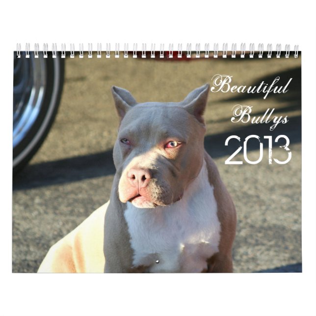 Beau calendrier de chien de Bullys 2013 (Protection)
