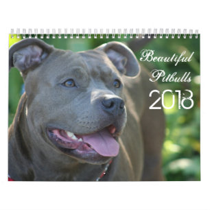 Beau calendrier de chien de Pitbulls 2018
