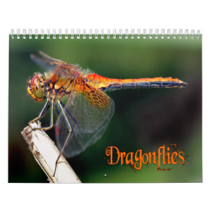 Beau calendrier de libellules