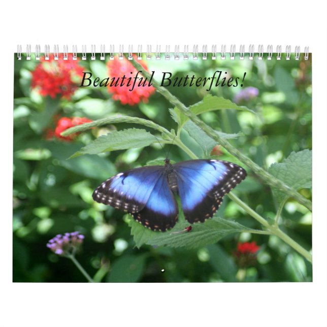 Beau calendrier de papillons (Protection)