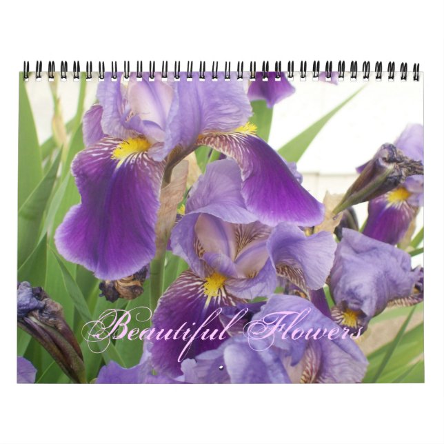 Beau Calendrier des fleurs (Protection)