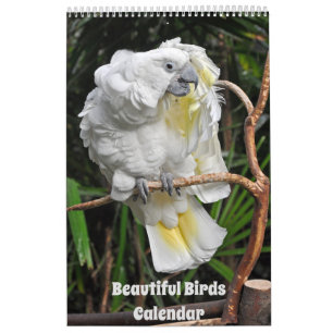 Beau calendrier des oiseaux