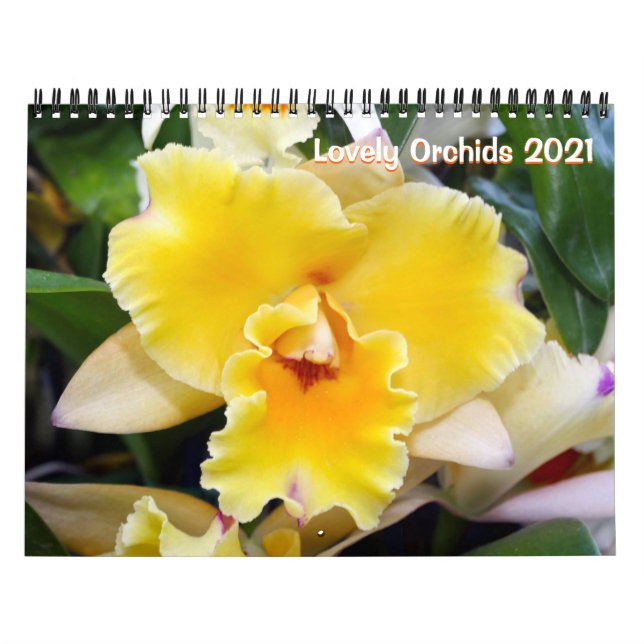 Beau calendrier Orchidées 2021 (Protection)