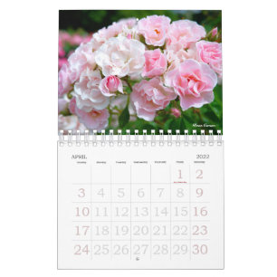 Beau Calendrier Rose Bタ Oural プ カ ン レ 