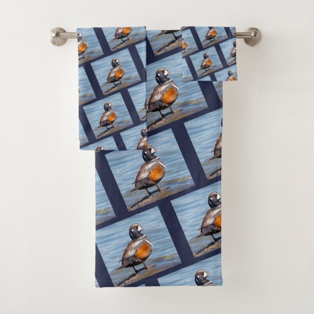 Beau canard arlequin sur le rocher (En situation)