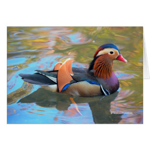 Beau canard Mandarin dans l'étang