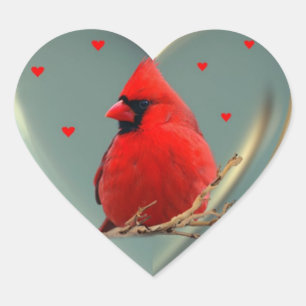 Beau Cardinal Rouge brillant, Un autocollant à exp