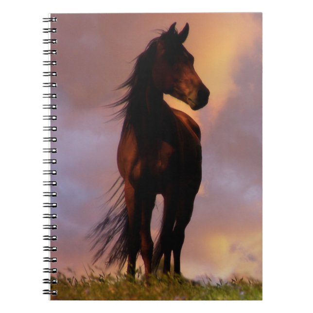 Beau Carnet à cheval (Devant)