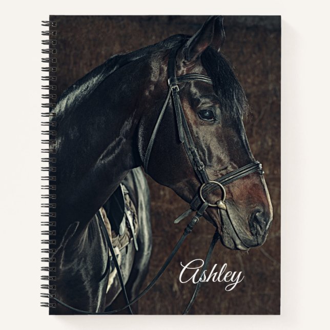 Beau Carnet à cheval (Devant)