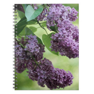Beau Carnet de printemps