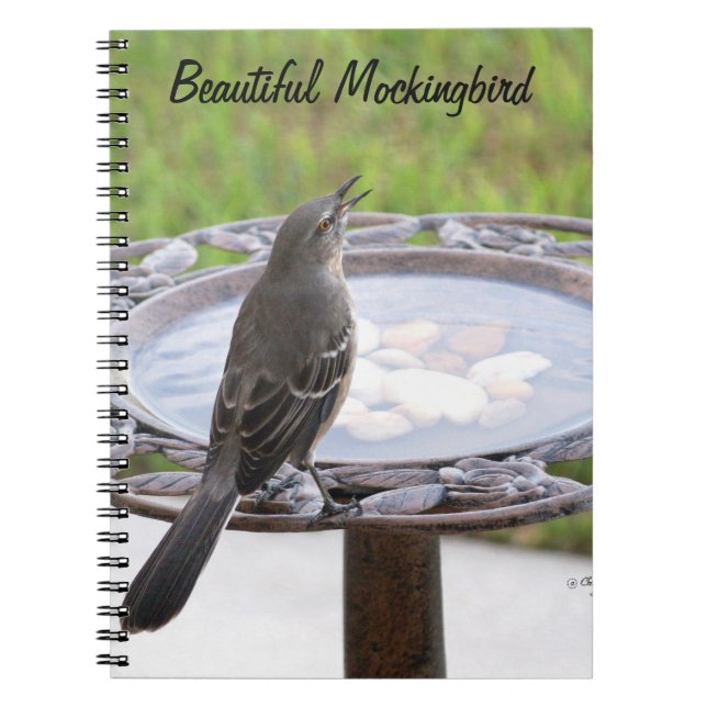 Beau Carnet Mockingbird Birdbath (Devant)