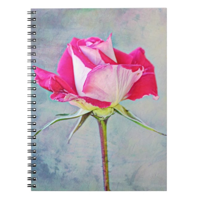 Beau Carnet Rose Rose Art Journal (Devant)