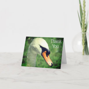 Beau Carte de remerciements Naturel Du Cygne