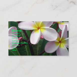 Beau Carte de visite Plumeria rose et jaune