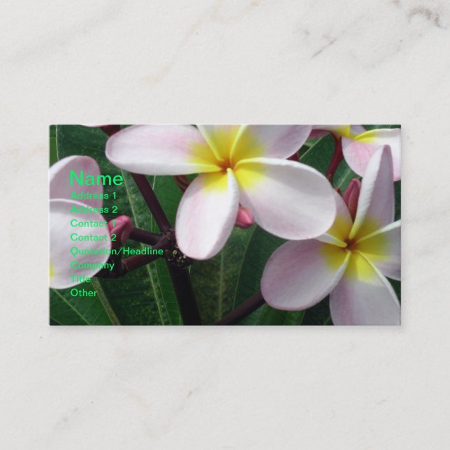 Beau Carte de visite Plumeria rose et jaune (Devant)