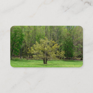 Beau Cartes de visite d'arbre