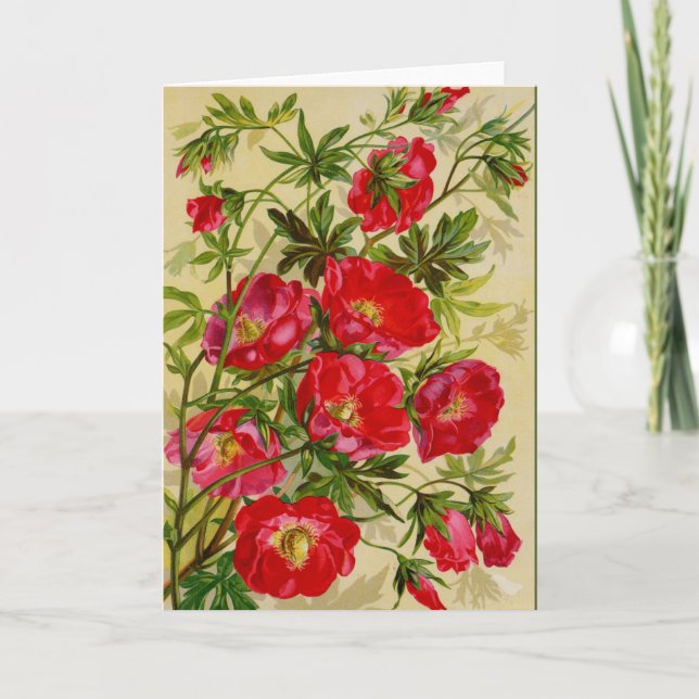 Beau Cherry Red Wild Rose Cartes pour notes (Devant)