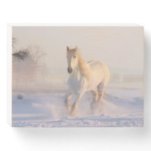 Beau Cheval Blanc Galloping dans la neige