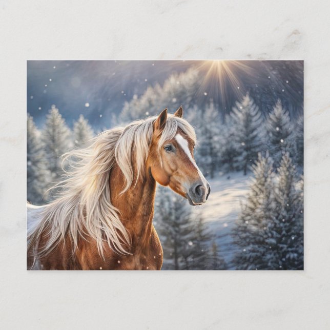 Beau cheval dans la carte postale Noël de neige (Devant)