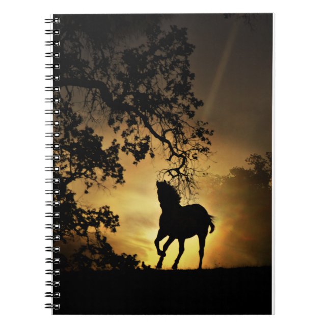 Beau cheval dans le Carnet du coucher de soleil (Devant)