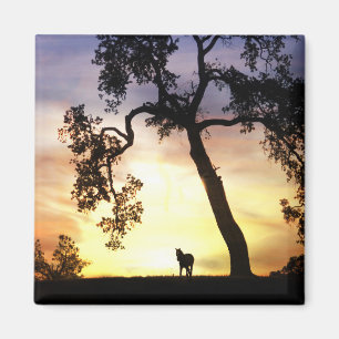 Beau Cheval dans le Sunset Magnet