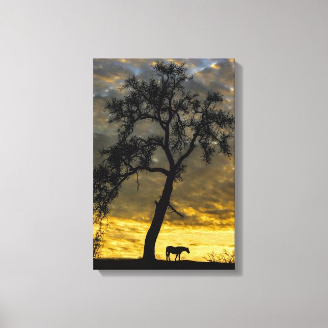 Beau Cheval de Toile et Chêne Arbre avec lever du  (Recto)