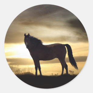 Beau cheval en Stickers Coucher de Soleil Doré