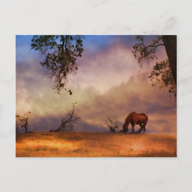 Beau cheval et chêne avec nuages Carte postale (Devant)