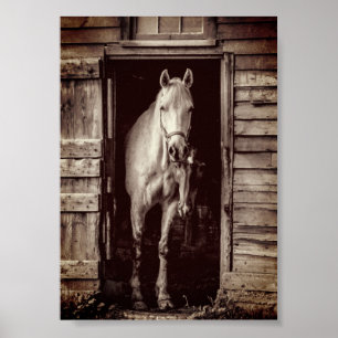 Beau Chevaux Rustique Brown Grange Poster