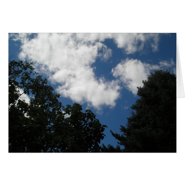 BEAU CIEL (Devant horizontal)