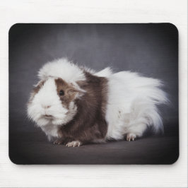 Beau Cochon de Guinée, Tapis de Souris