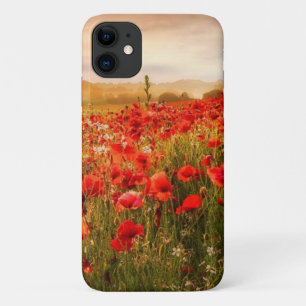Beau coque de champs de pavot rouge