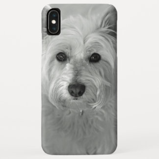Beau coque iphone de Westie Dog