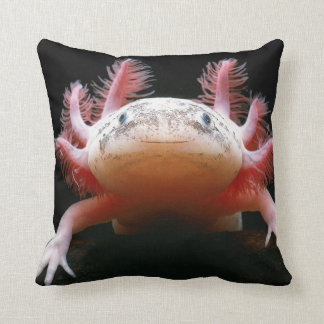 BEAU coussin d'Axolotl gentil à croquer ! !
