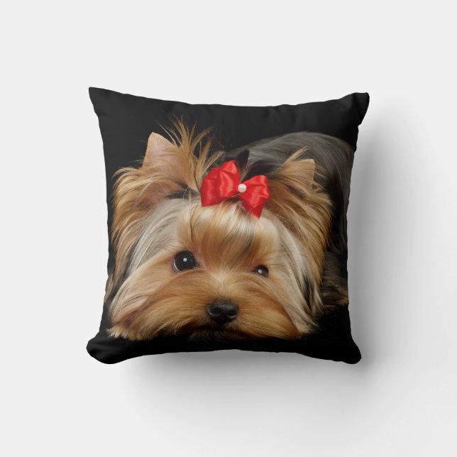 Beau coussin de chien (Recto)