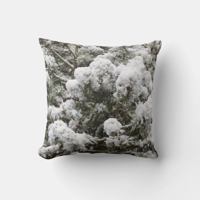 Beau Coussin d'élément d'hiver! (Recto)
