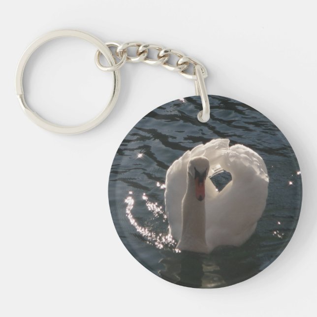 Beau cygne blanc (Devant)