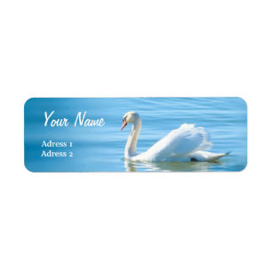 Beau cygne blanc - étiquette de adresse