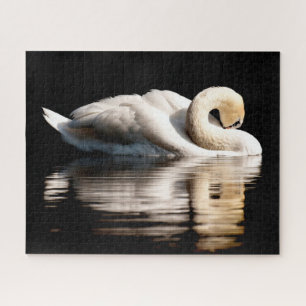 Beau cygne blanc, Puzzle
