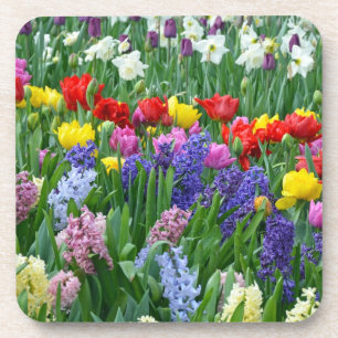 Beau dessous de verre de jardin de printemps