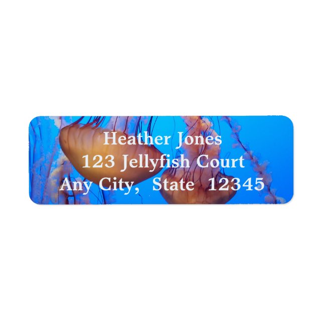 Beau Étiquettes de méduses (Devant)