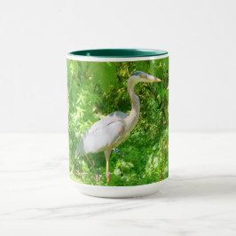 Beau grand héron bleu dans la mug sauvage