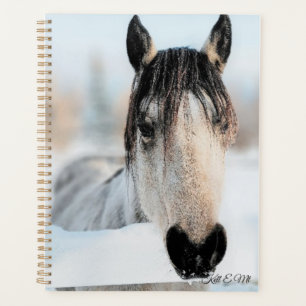 Beau Horse Planner
